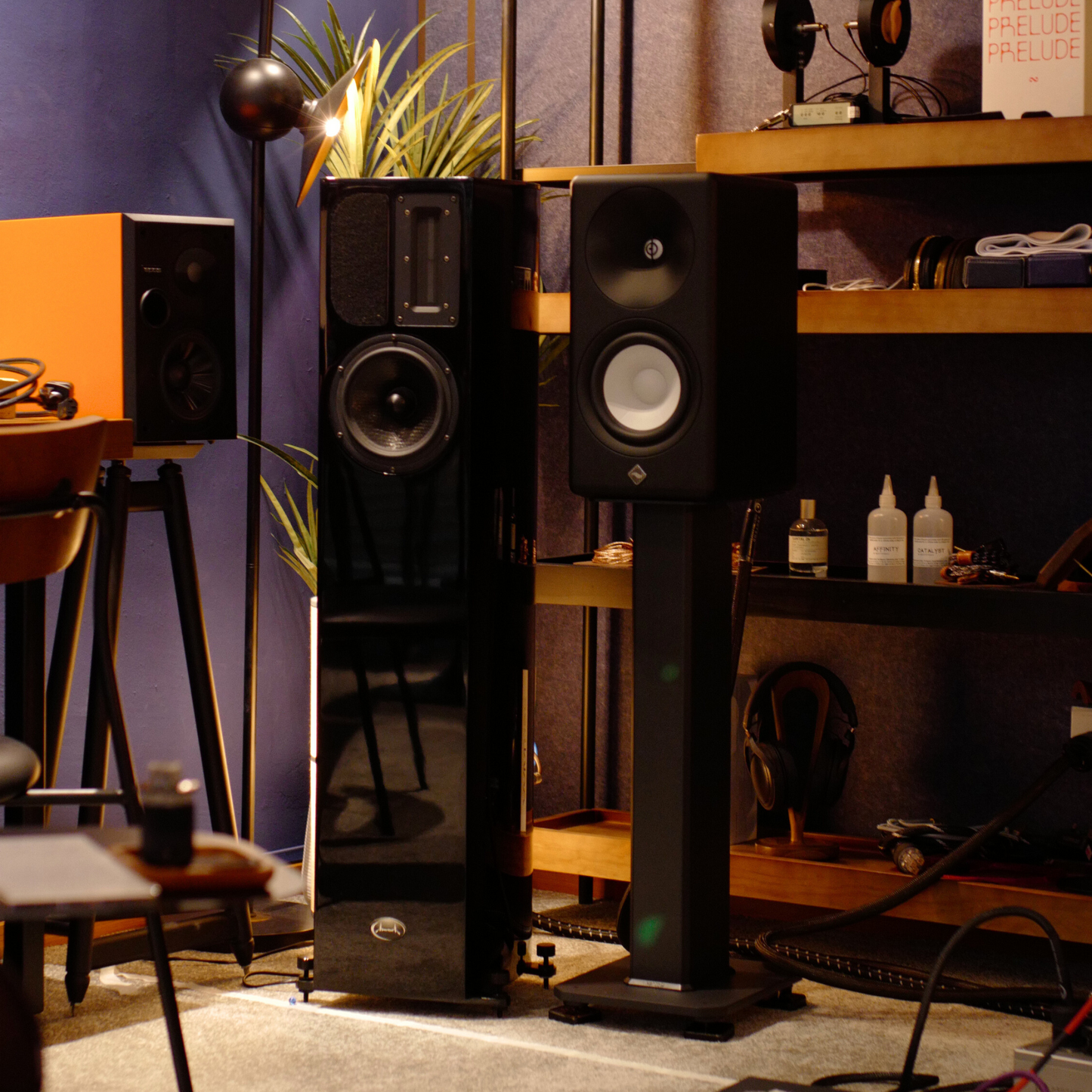 AsciLab C6B Passive Bookshelf Speakers (Pair)