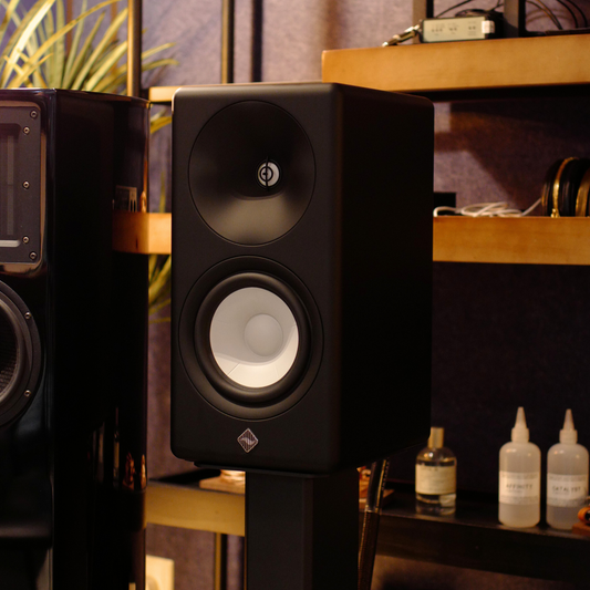 AsciLab C6B Passive Bookshelf Speakers (Pair)