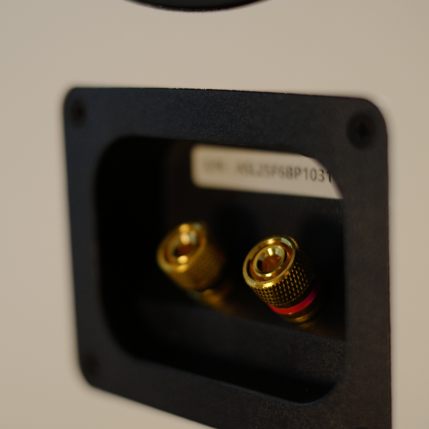 AsciLab F6B Passive Bookshelf Speakers (Pair)