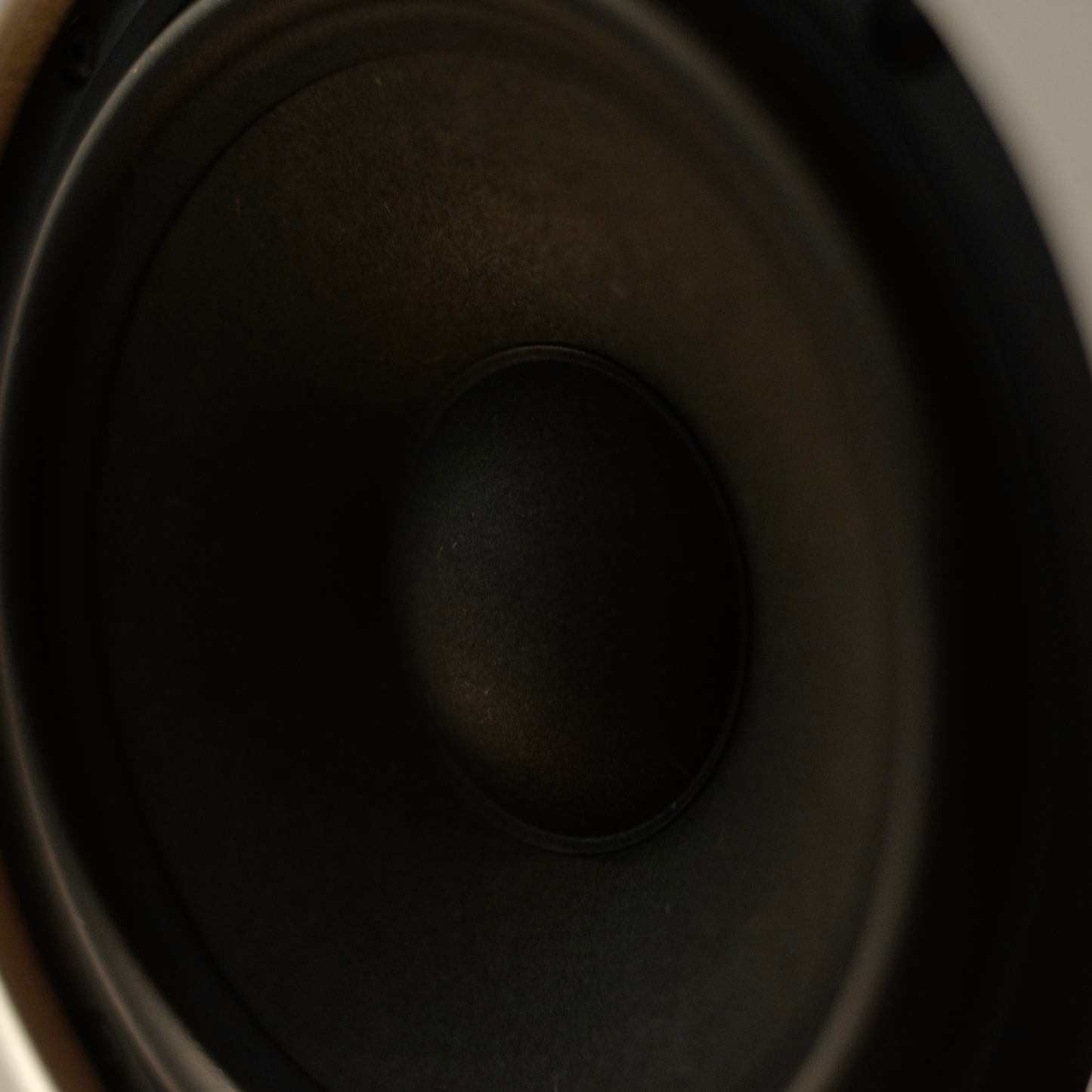 AsciLab F6B Passive Bookshelf Speakers (Pair)