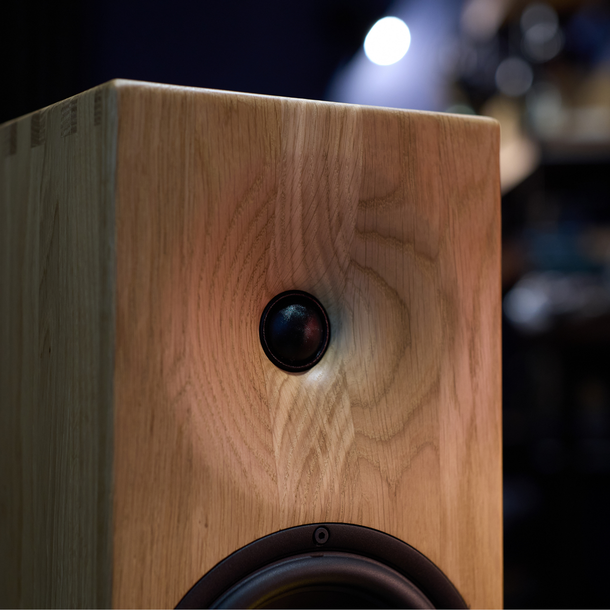 Buchardt Audio E50-S Passive Speaker (Pair)