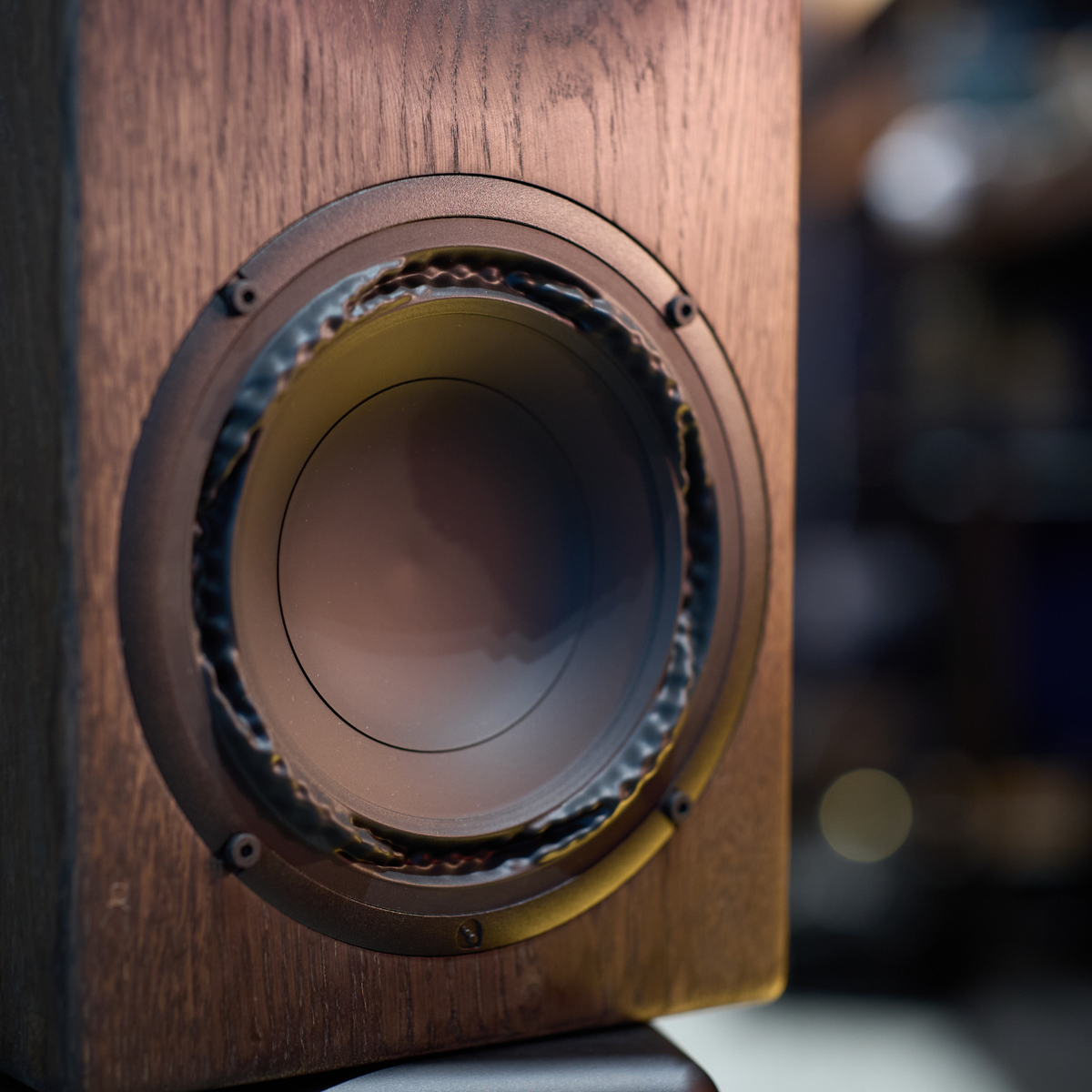Buchardt Audio E50 Passive Speaker (Pair)